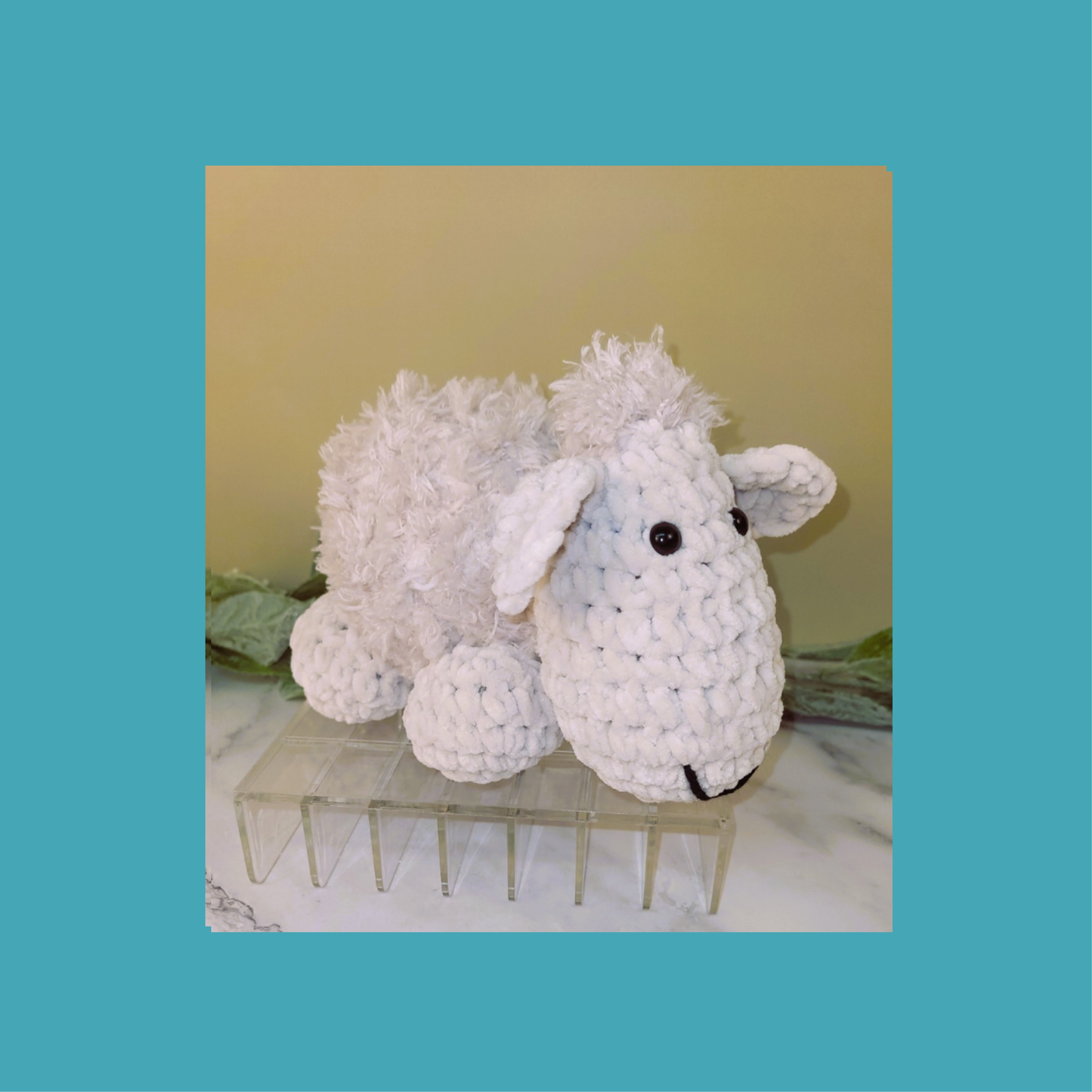 Lady Baa Baa, The Woolly Sheep
